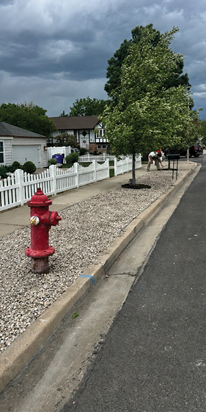 Parking strip gravel install completed